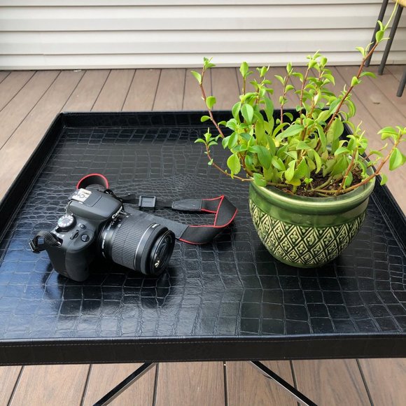 Fendi Rare Alligator Coffee Table - Picture 3 of 12